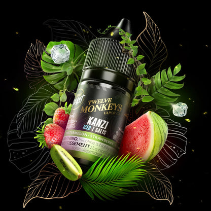 TWELVE MONKEYS X FLAVOUR BEAST E-JUICE