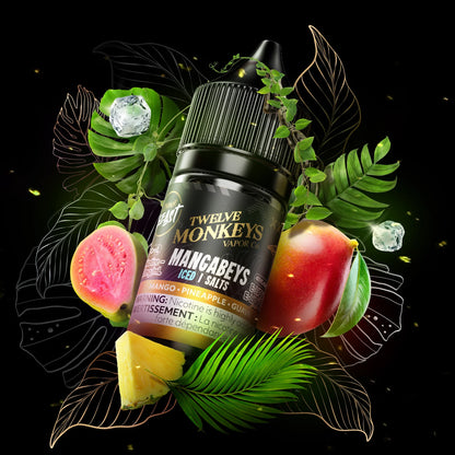 TWELVE MONKEYS X FLAVOUR BEAST E-JUICE