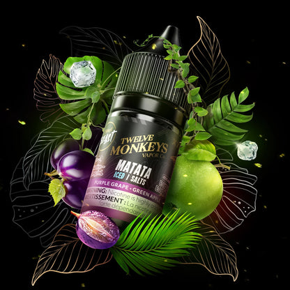 TWELVE MONKEYS X FLAVOUR BEAST E-JUICE