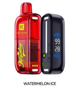 Vfeel Key Play (45000)