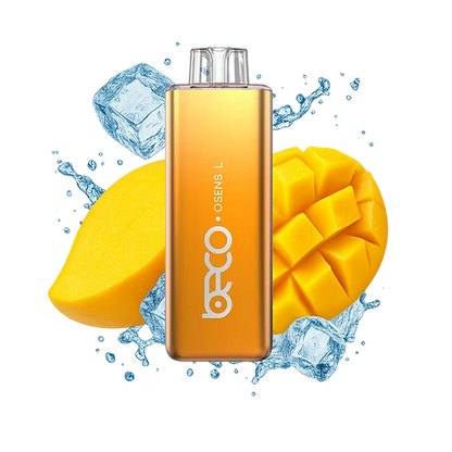 BECO SLIM (10K)